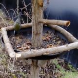 photo 2019-01-01 14-28-10