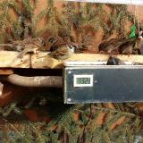 photo 2021-02-14 14-08-26