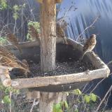 photo 2019-12-16 13-31-32