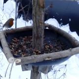 photo 2019-01-08 08-13-39