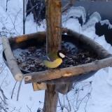 photo 2019-01-07 08-16-09