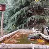 photo 2023-10-15 16-39-04