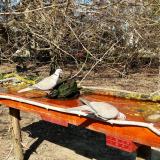 photo 2021-03-21 13-45-59