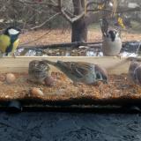 photo 2021-11-10 10-23-00