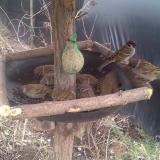 photo 2019-02-10 14-47-09