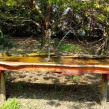 photo 2021-04-21 12-49-44