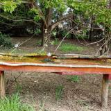 photo 2021-04-27 09-01-38