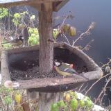 photo 2019-12-06 08-08-29