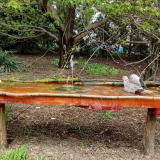 photo 2021-04-19 12-53-25