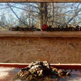 photo 2022-01-15 14-15-17