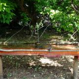 photo 2021-05-15 10-59-52