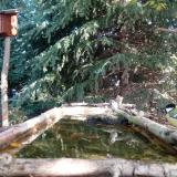 photo 2023-10-12 10-23-57