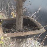 photo 2019-12-31 10-02-23