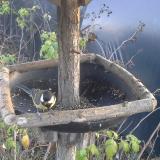 photo 2019-12-14 14-45-38