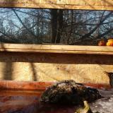 photo 2022-01-23 11-10-42