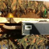 photo 2021-02-12 14-27-50