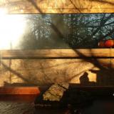 photo 2022-01-29 08-24-23