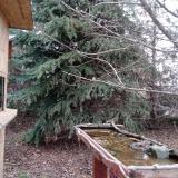 photo 2021-12-12 12-27-57