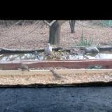 photo 2021-12-01 12-02-05