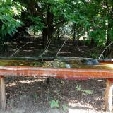 photo 2021-07-24 08-36-54