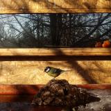 photo 2022-01-24 09-51-41