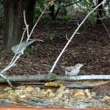 photo 2021-09-07 14-54-13 vbpsz