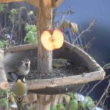 photo 2019-12-03 13-12-47