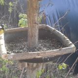 photo 2019-12-17 10-22-35