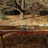 photo 2021-10-26 14-34-33