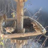 photo 2019-12-30 13-20-27