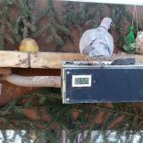 photo 2021-02-13 09-15-36