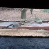 photo 2021-12-09 08-28-20