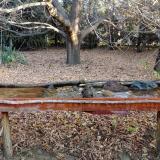 photo 2021-10-26 08-15-56