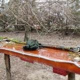 photo 2021-03-24 08-41-51