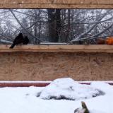 photo 2022-01-22 08-00-28