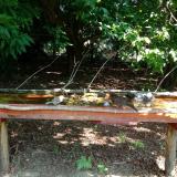 photo 2021-07-23 10-44-53