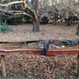 photo 2021-10-26 08-11-43