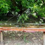 photo 2021-05-25 11-34-44