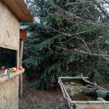 photo 2021-12-19 09-09-29