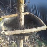 photo 2019-03-06 16-18-36