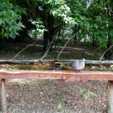 photo 2021-07-03 09-30-06