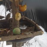 photo 2019-01-27 12-49-55