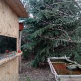 photo 2022-01-05 08-54-13