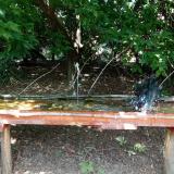 photo 2021-08-04 13-36-20