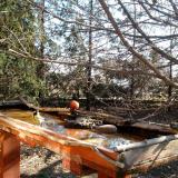 photo 2022-03-23 08-46-54