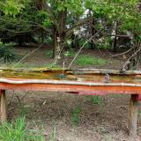 photo 2021-04-28 13-50-16