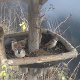 photo 2019-12-25 10-55-01