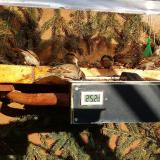 photo 2021-02-18 14-54-27