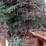 photo 2021-11-13 12-29-34