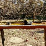 photo 2021-03-13 09-23-22